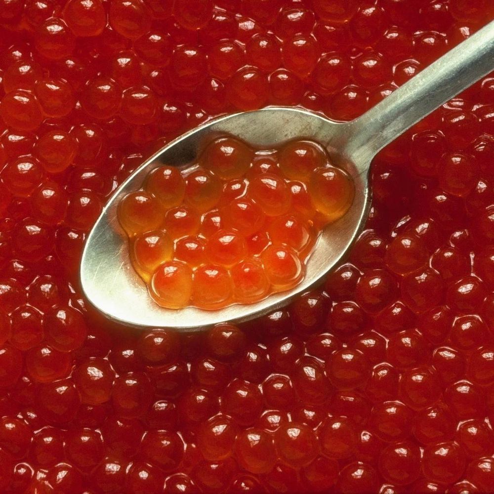 Красная икра кижуча 25 кг