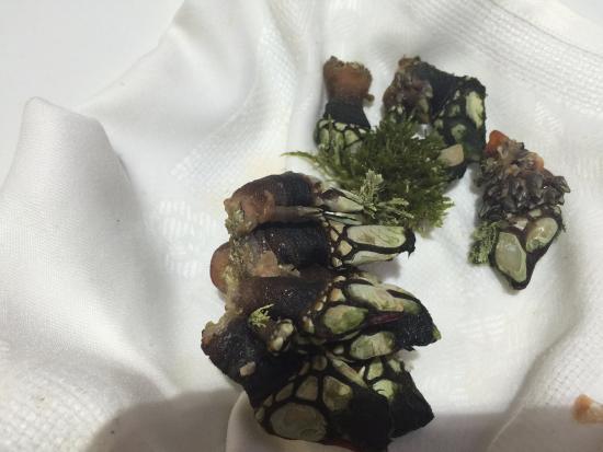 Ларец с трюфелем (Россия)