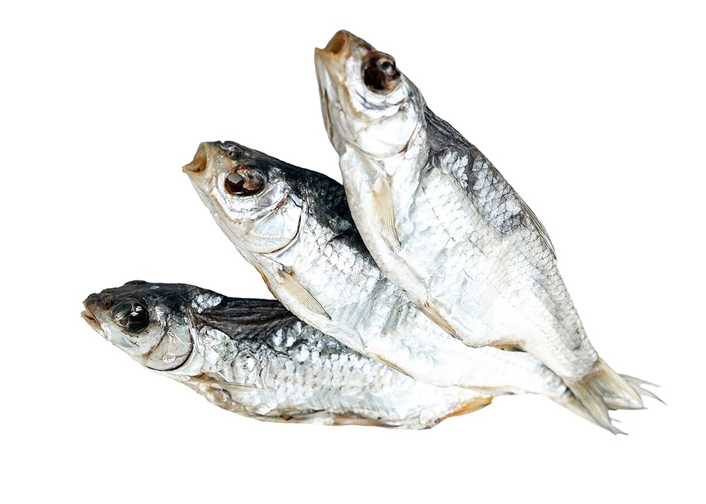 Вобла вяленая крупная весовой товар